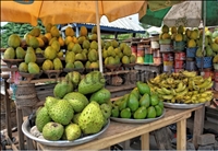 Agriculture